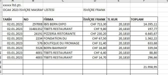 yurtdışı masraf listesi.jpg